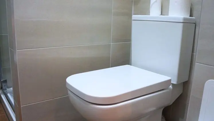 Standard Tek Büyük Yataklı Oda, 1 Çift Kişilik Yatak