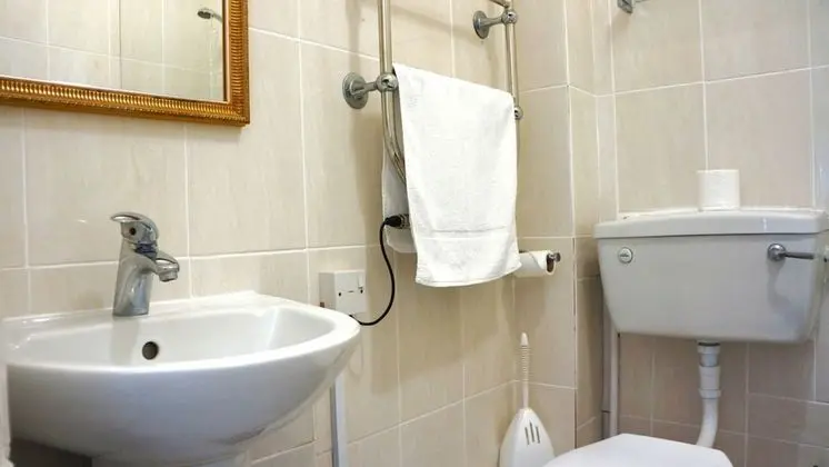 Standard Tek Büyük Yataklı Oda, 1 Çift Kişilik Yatak