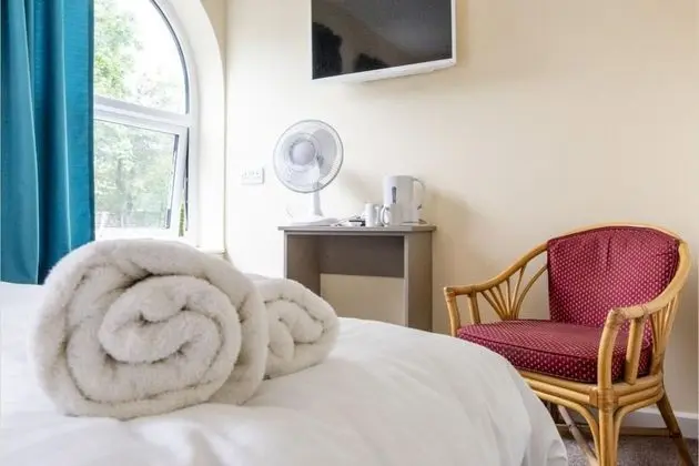 Deluxe Tek Büyük Yataklı Oda, 1 Çift Kişilik Yatak