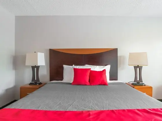 Oda Deluxe King Bed
