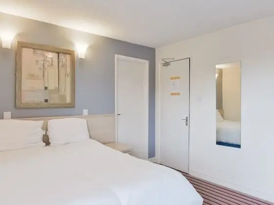 Standard Tek Büyük Yataklı Oda, 1 Çift Kişilik Yatak