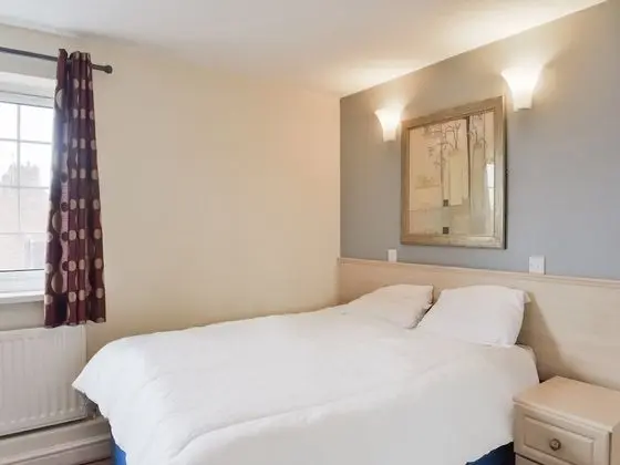 Standard Tek Büyük Yataklı Oda, 1 Çift Kişilik Yatak