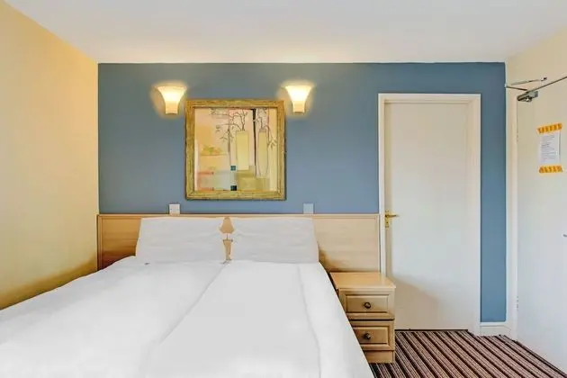 Standard Tek Büyük Yataklı Oda, 1 Çift Kişilik Yatak