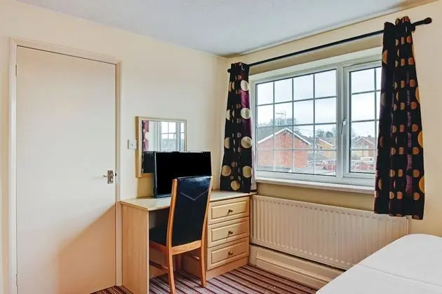 Standard Tek Büyük Yataklı Oda, 1 Çift Kişilik Yatak