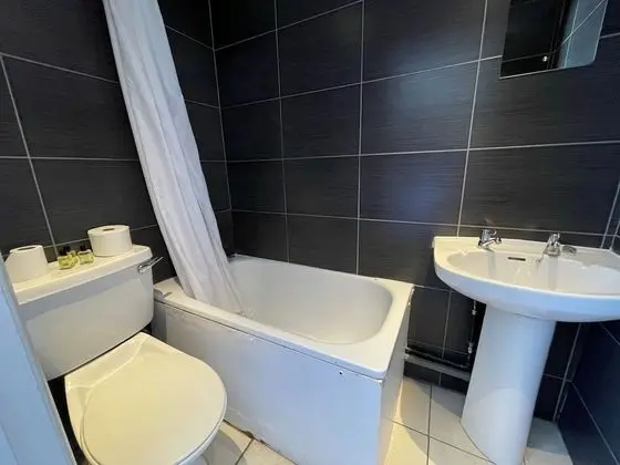 Standard Tek Büyük Yataklı Oda, 1 Çift Kişilik Yatak