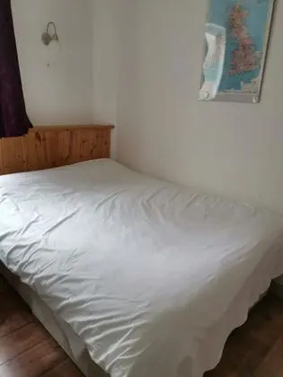 Standard Tek Büyük Yataklı Oda, 1 Çift Kişilik Yatak