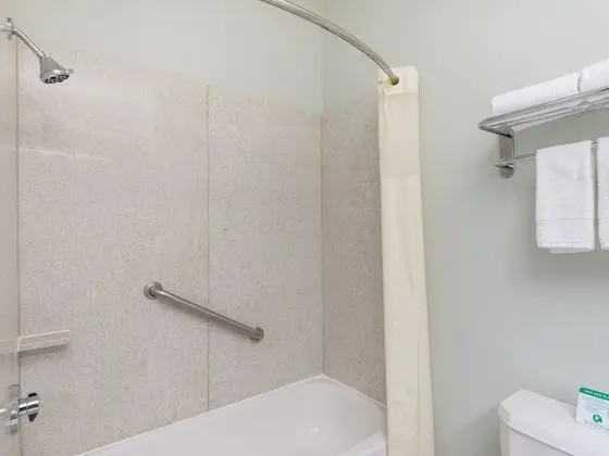 Oda, 1 En Büyük (King) Boy Yatak, Engellilere Uygun, Sigara İçilmez (Mobility, Tub with Grab Bars)