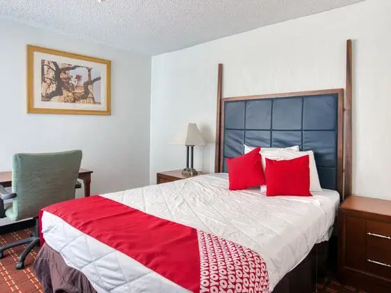 Oda Deluxe Queen Bed