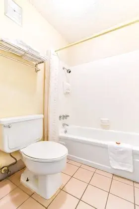 Premium Oda, 1 En Büyük (King) Boy Yatak