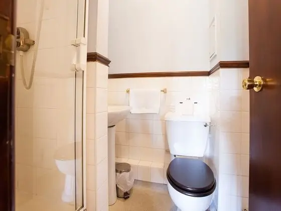 Standard Tek Büyük Yataklı Oda, 1 Çift Kişilik Yatak