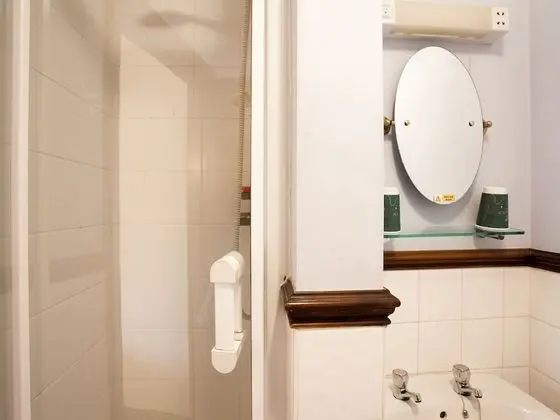 Standard Tek Büyük Yataklı Oda, 1 Çift Kişilik Yatak