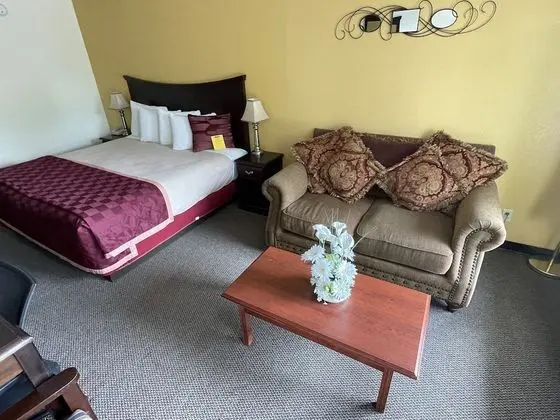 Executive Oda, 1 En Büyük (King) Boy Yatak, Sigara İçilmez (with Sofa)