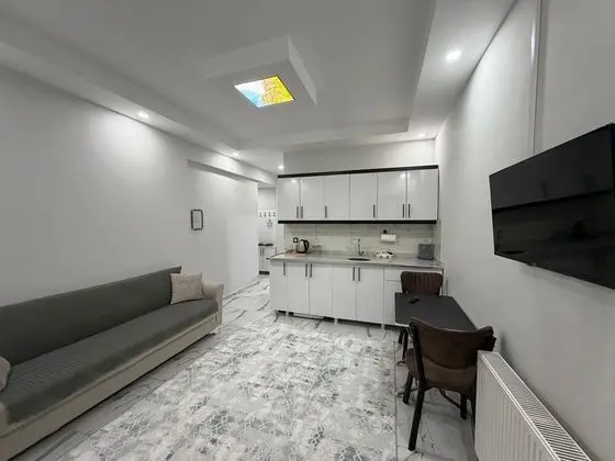 Classic Daire, Balkon, Şehir Manzaralı, 1+1