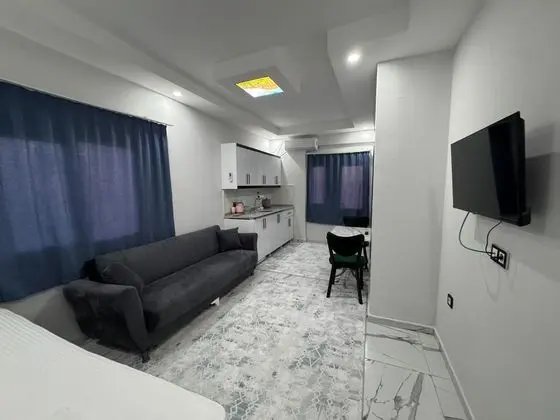 Classic Daire, Balkon, Şehir Manzaralı, 3 Kişilik 1+1
