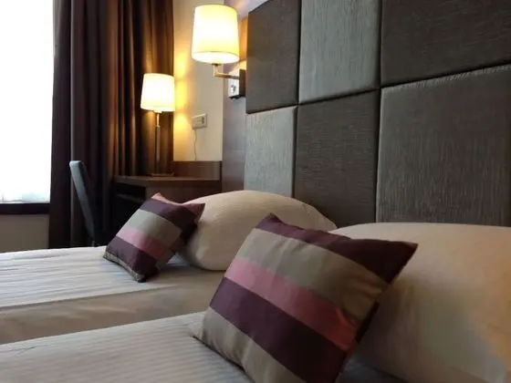 Deluxe Tek Büyük Yataklı Oda, Şehir Manzaralı