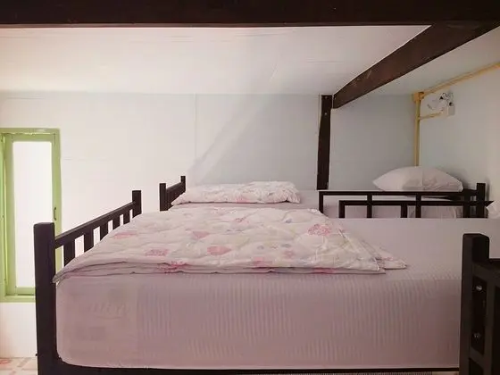Mixed Dormitory with Shared Bathroom