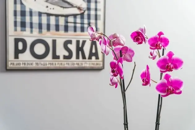 Deluxe Süit, 2 Yatak Odası (Lubicz Two Bedroom De Lux)