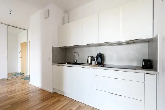 Business Apart Daire, 1 Büyük (Queen) Boy Yatak ve Çekyat