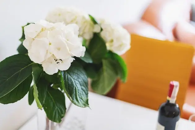 Superior Apart Daire, 1 Yatak Odası