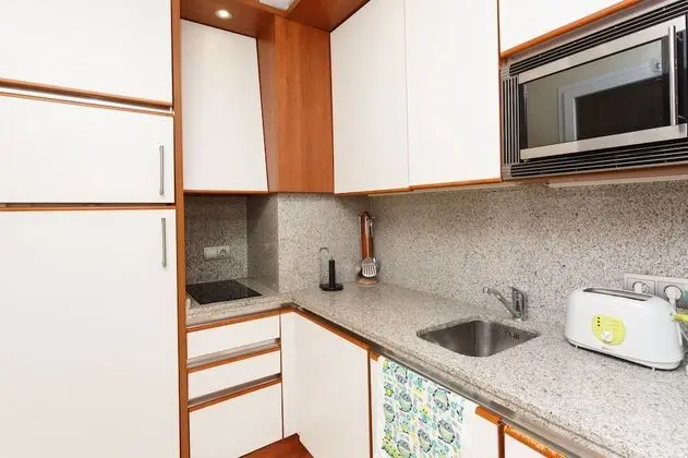 Apart Daire, 1 Yatak Odası (309)
