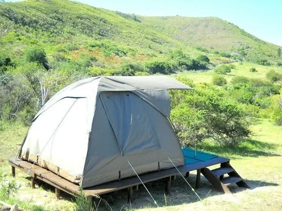 Furnished Tent