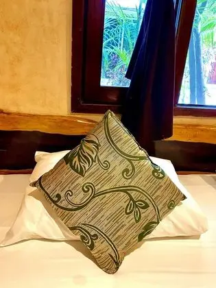 Traditional Tek Büyük Yataklı Oda, Bahçe Manzaralı, Bahçeli