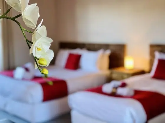 Deluxe Stüdyo Süit, 1 Yatak Odası, Liman Manzaralı