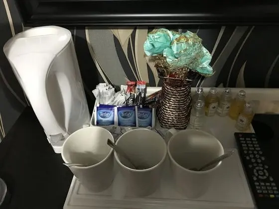 Tek Büyük Yataklı Oda, Banyolu/Duşlu