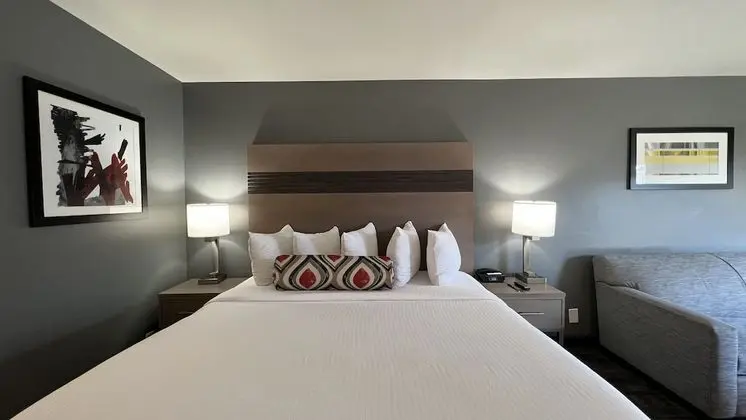 Deluxe Oda, Sigara İçilmez