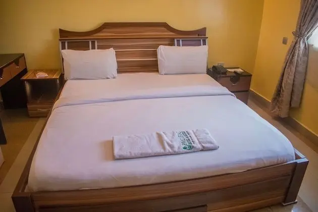 Standard Tek Büyük Yataklı Oda, 1 Çift Kişilik Yatak