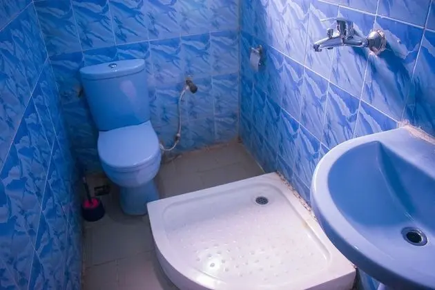 Standard Tek Büyük Yataklı Oda, 1 Çift Kişilik Yatak
