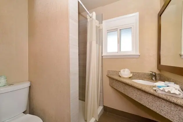 Comfort Oda, 1 Büyük (Queen) Boy Yatak, Buzdolabı ve Mikrodalga