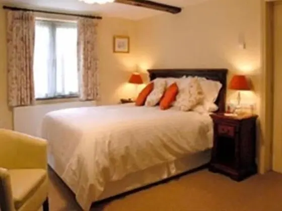 Superior Tek Büyük Yataklı Oda, 1 En Büyük (King) Boy Yatak, Banyolu/Duşlu