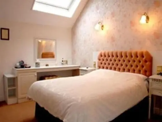 Tek Büyük Yataklı Oda, Banyolu/Duşlu