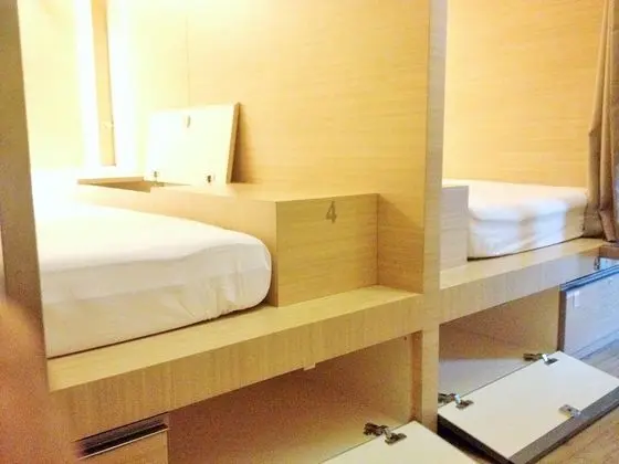 Shared Dormitory, Multiple Beds
