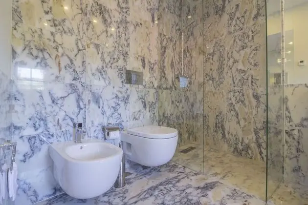 Superior Tek Büyük veya İki Ayrı Yataklı Oda, Banyolu/Duşlu