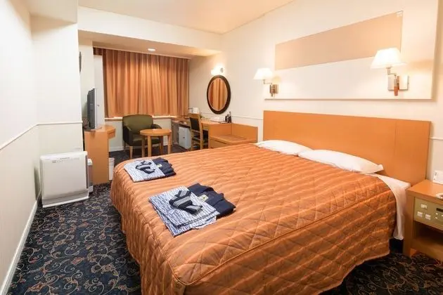 Oda, 1 Büyük (Queen) Boy Yatak, Sigara İçilmez, Şehir Manzaralı