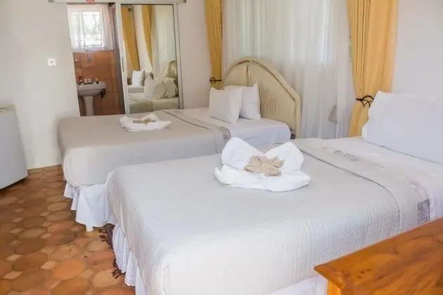 Deluxe Oda, 1 Çift Kişilik Yatak, Sigara İçilmez