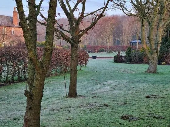 Kır Evi, 1 En Büyük (King) Boy Yatak
