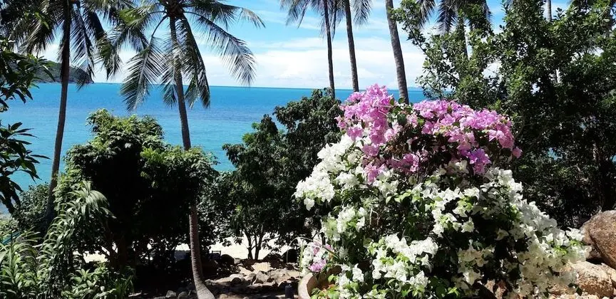 Beach Villa Phangan 5 Bedrooms