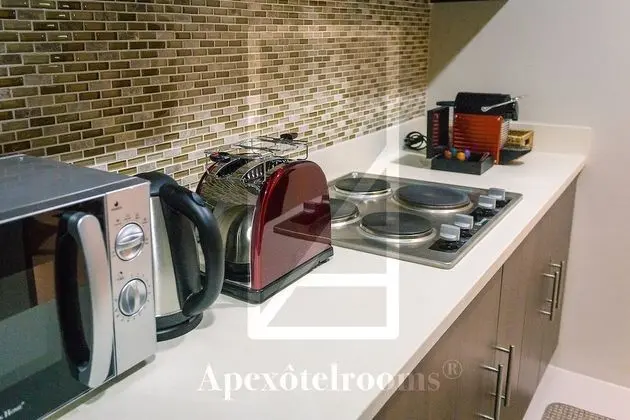 Deluxe Apart Daire, 1 Yatak Odası, Şehir Manzaralı