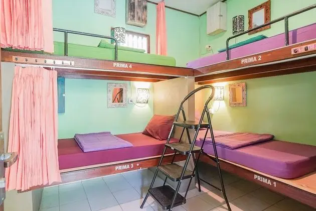 Standard 4-Bed Female Dormitory Room