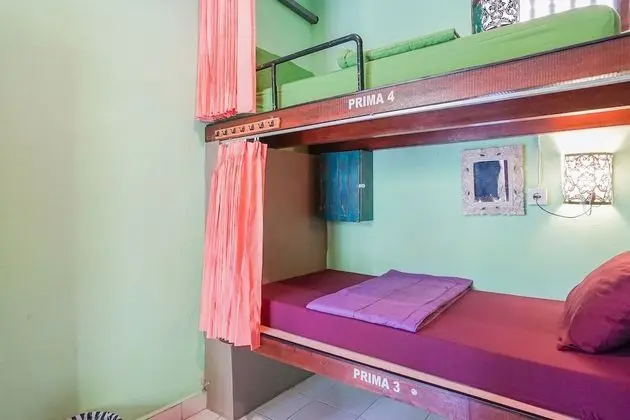 Standard 4-Bed Female Dormitory Room