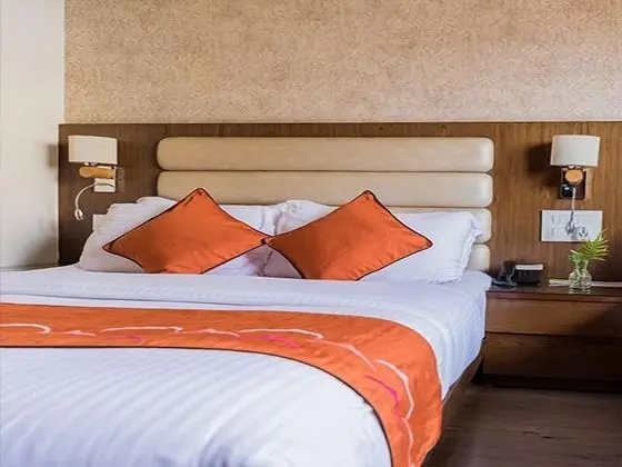 Deluxe Tek Büyük Yataklı Oda, 1 En Büyük (King) Boy Yatak