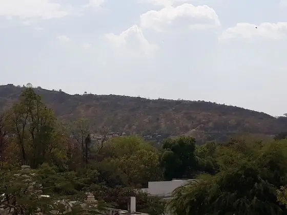 Standard Oda, 1 Yatak Odası