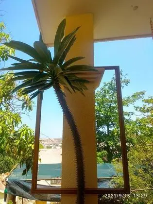 Ortak Ranzalı Oda, 1 Yatak Odası, Sigara İçilebilir