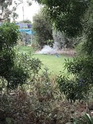 Ev, 4 Yatak Odası (Lorikeet Lodge)