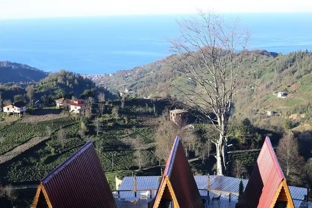 Bungalov