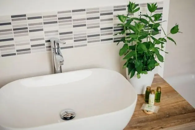 Comfort Üç Kişilik Oda, Bahçe Manzaralı