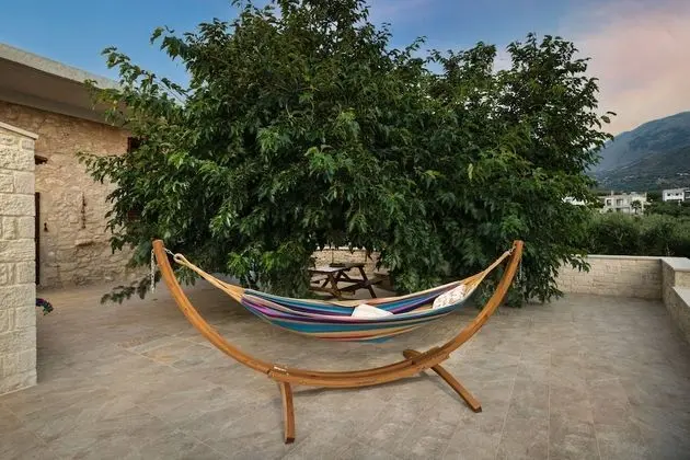 Traditional Ev